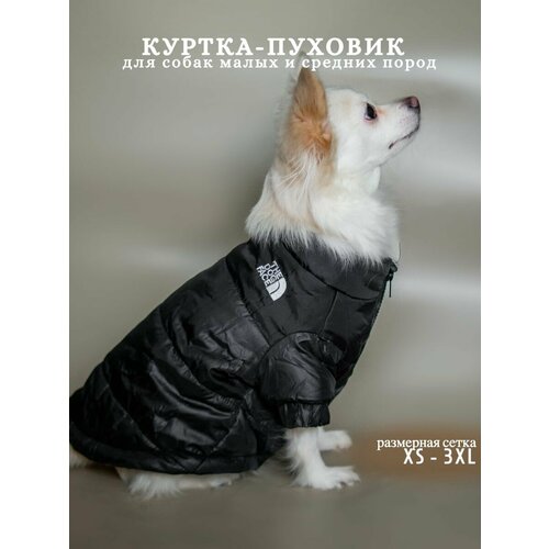 Куртка для собак зимняя, пуховик The dog face, одежда для собак. Размер 3XL