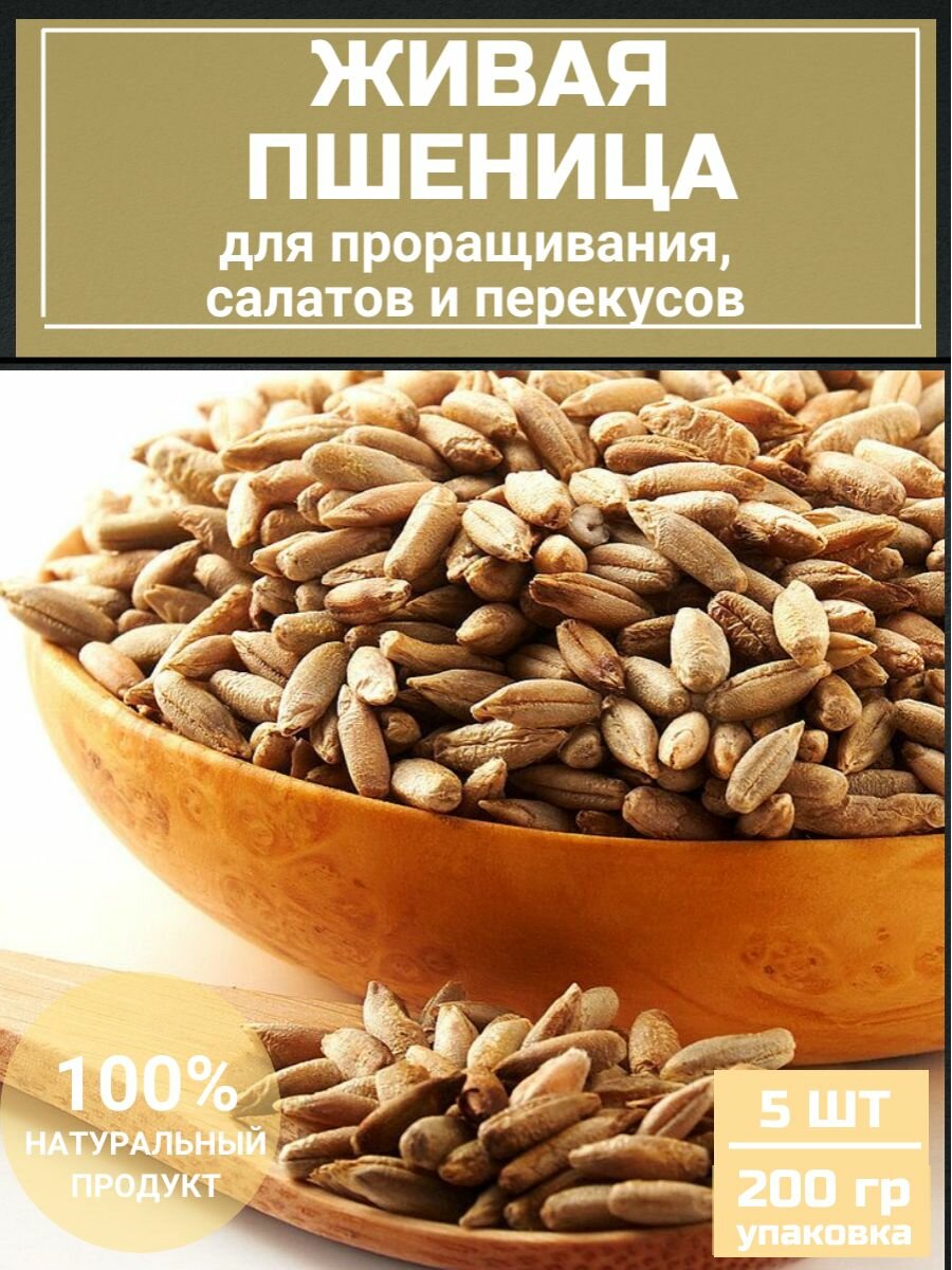 Живая пшеница для проращивания и салатов, 200 гр, 5шт - фотография № 1