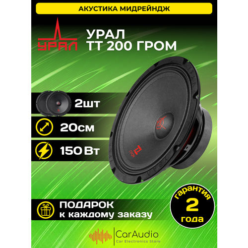 Эстрадная акустика урал ТТ 200 гром 2 шт 20 см 8 300150Вт 463200₽