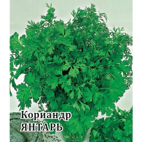 семена кориандр янтарь 100г гавриш фермерское подворье 3 упаковки Семена Кориандр Янтарь, 25г, Гавриш, Фермерское подворье, 10 пакетиков