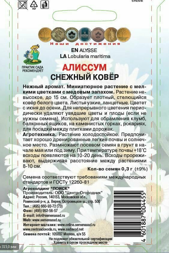 Алиссум Снежный ковер Поиск 0,3 гр - фото №3