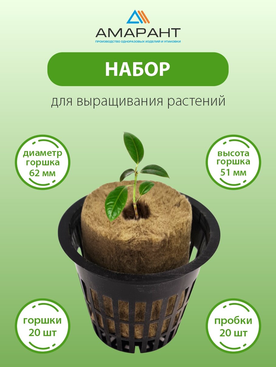 Набор для выращивания Амарант растений 20 горшков+20пробок