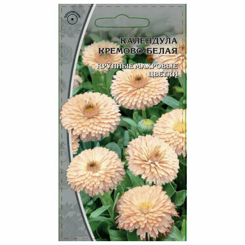 Семена календула кремово-белая 1г 449₽
