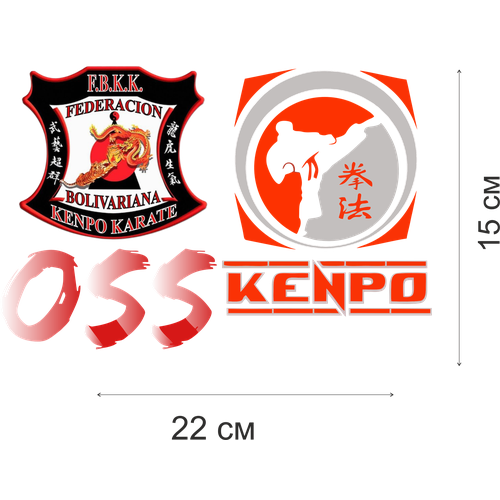 Трансфер Kempo дождевик 220х150 мм 379₽