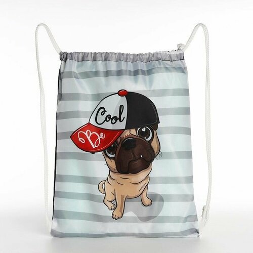 Мешок для обуви на шнурке цвет серый 601₽