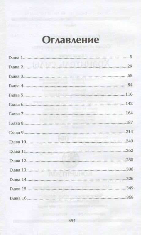 Сокровища Валькирии. Книга 5. Хранитель силы - фото №8