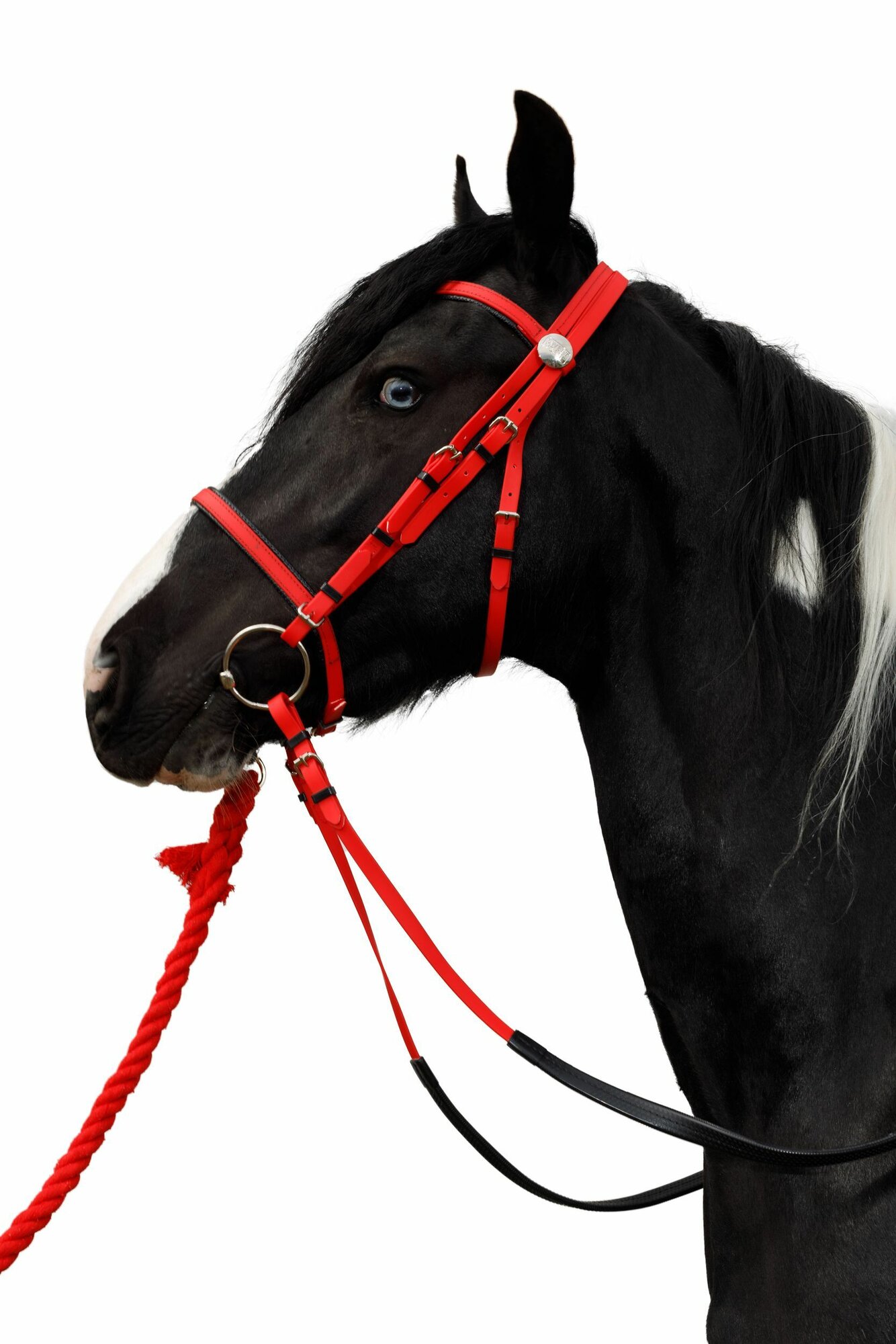 Sweethorse / Оголовье с капсюлем + повод + трензель, красный — фото 1