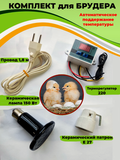 Изображение товара Комплект для брудера терморегулятор и лампа для брудера