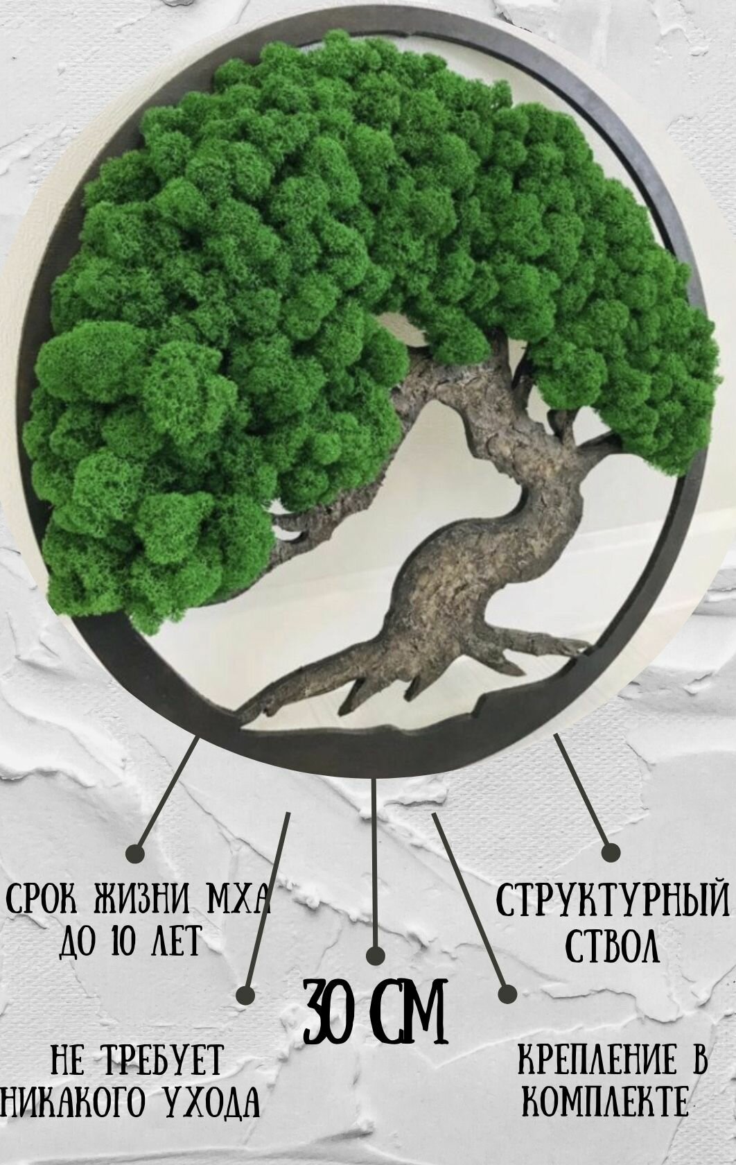 Картина Древо жизни  Панно  Картина из стабилизированного мха