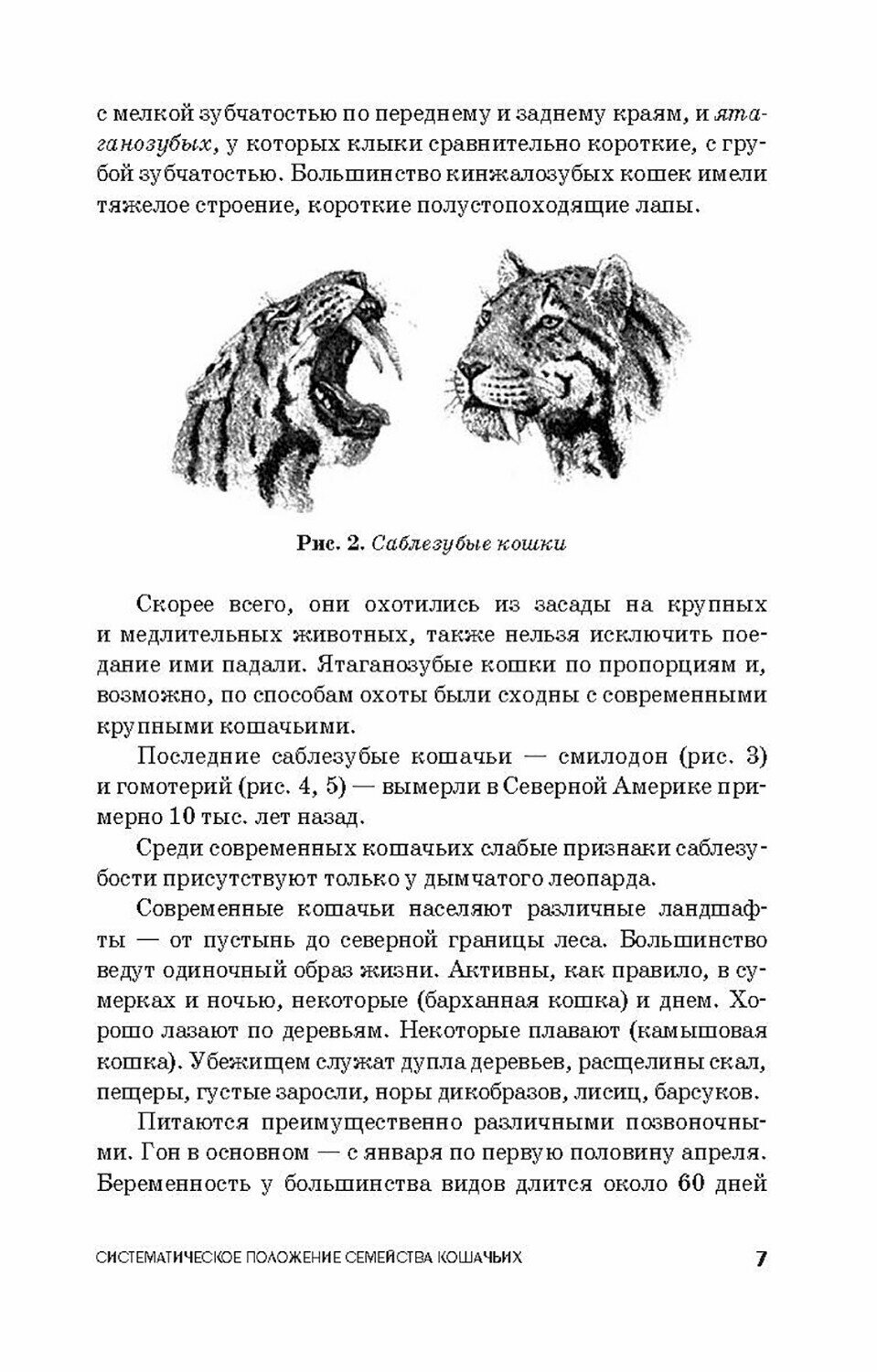 Фелинология. Учебное пособие (Блохина Татьяна Владимировна) - фото №11