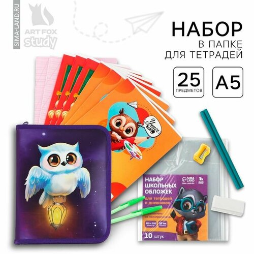 Набор первоклассника в папке для тетрадей 25 предметов 1 сентября Папка отличника Сова 942₽
