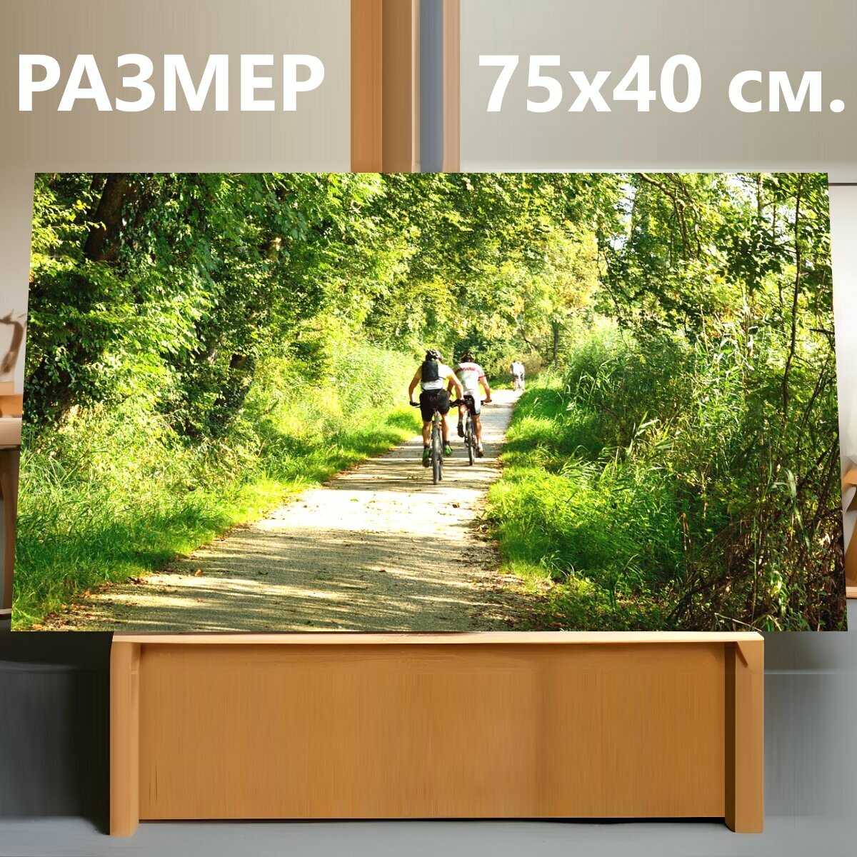 Картина на холсте "Кататься на велосипеде, велосипедист, лес" на подрамнике 75х40 см. для интерьера