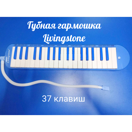 Портативное духовое фортепиано 37 клавиш, Livingstone BM-37BL,