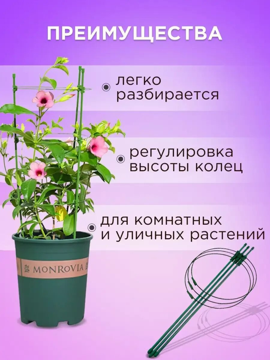 Опора для растений комнатных цветов роз кустодержатель пион — фото 1
