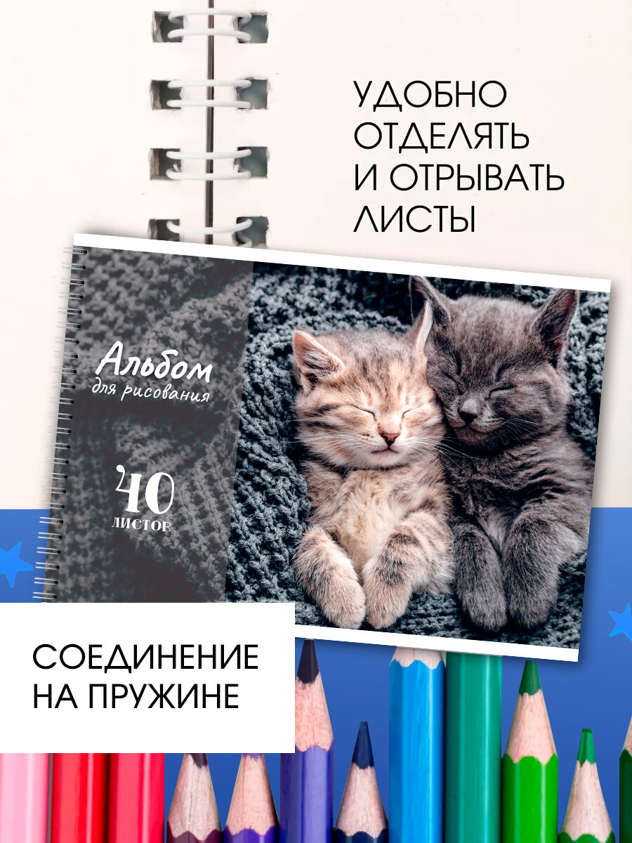 Альбом для рисования AXLER на пружине / на кольцах, 40 листов, А4, 2 шт. — фото 1