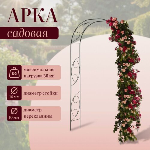 Изображение товара Арка садовая 250 × 120 × 30 см, для вьющихся растений, металлическая, зелёная