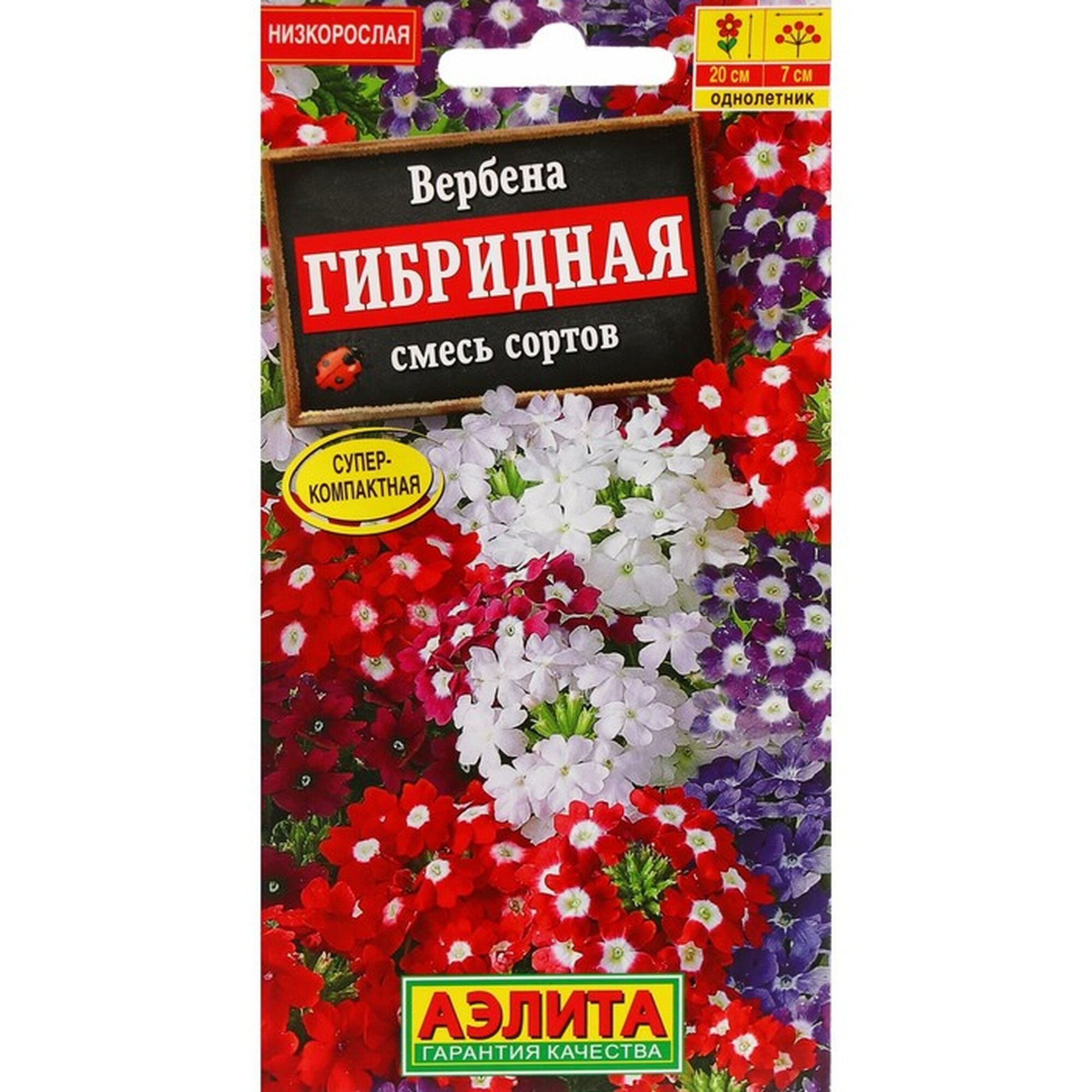 Семена Цветов Вербена 