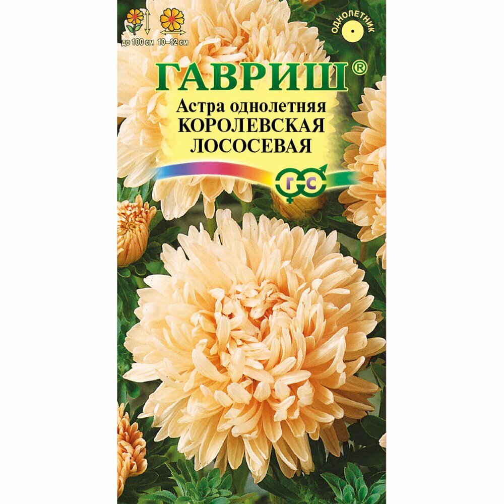 Астра пионовидная Королевская лососевая 03 г