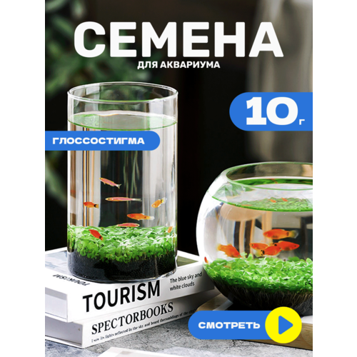 Семена растений для аквариума Glossostigma семена декоративных растений 10 г 199₽