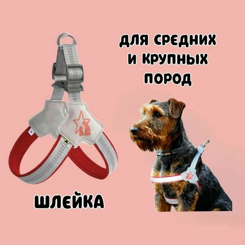 Шлейка для собак средних и крупных пород анатомическая. Обхват груди 65-70 см. Цвет серый. Для вельш-корги