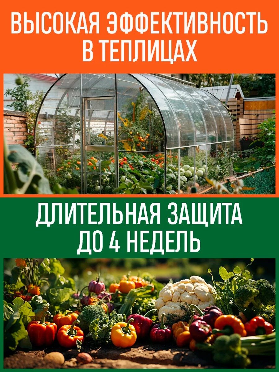 Средство от фитофторы и мучнистой росы "ПРОВИЗОР" GREEN BELT, 10 мл — фото 1
