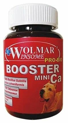 Wolmar Pro Bio Booster Mini Ca, 180 таблеток