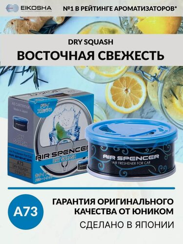 Изображение товара EIKOSHA ароматизатор для машины и дома меловой Spirit Refill - DRY SQUASH / восточная свежесть, автомобильный парфюм, арт. A-73