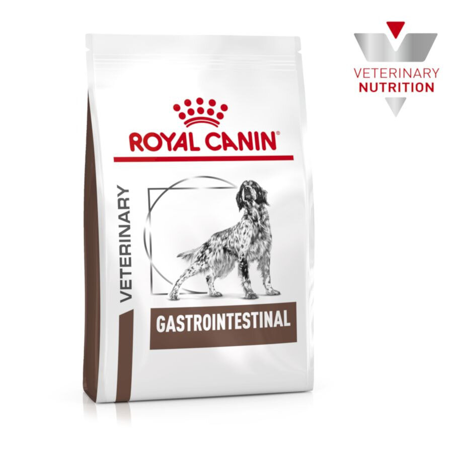 Royal Canin Canine Gastro Intestinal GI25 сухой диетический корм для взрослых собак всех пород при нарушении пищеварения — фото 1