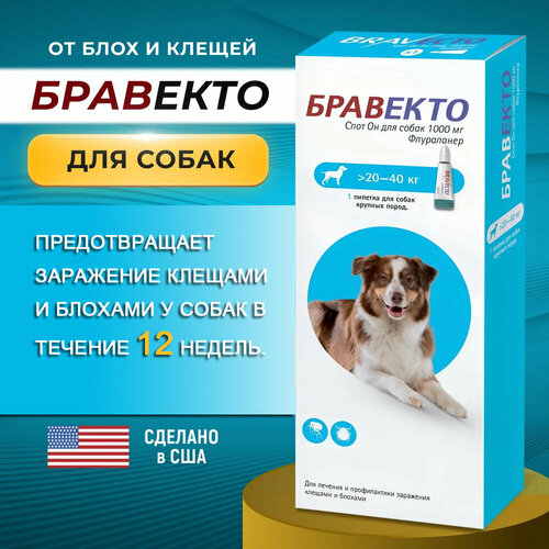 Бравекто капли Спот Он 1000 мг от блох и клещей для собак крупных пород от 20 до 40 кг, 1 пипетка