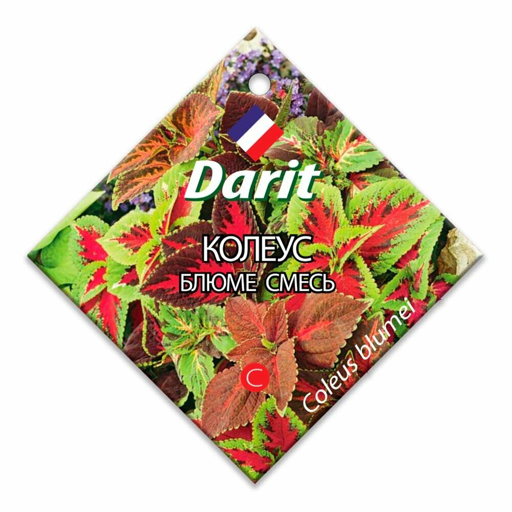 Колеус Блюме смесь 01 г