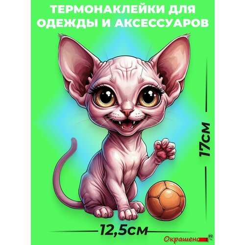 фото Термонаклейка / термотрансфер для декора одежды и аксессуаров "котенок сфинкса с мячиком" окрашенору