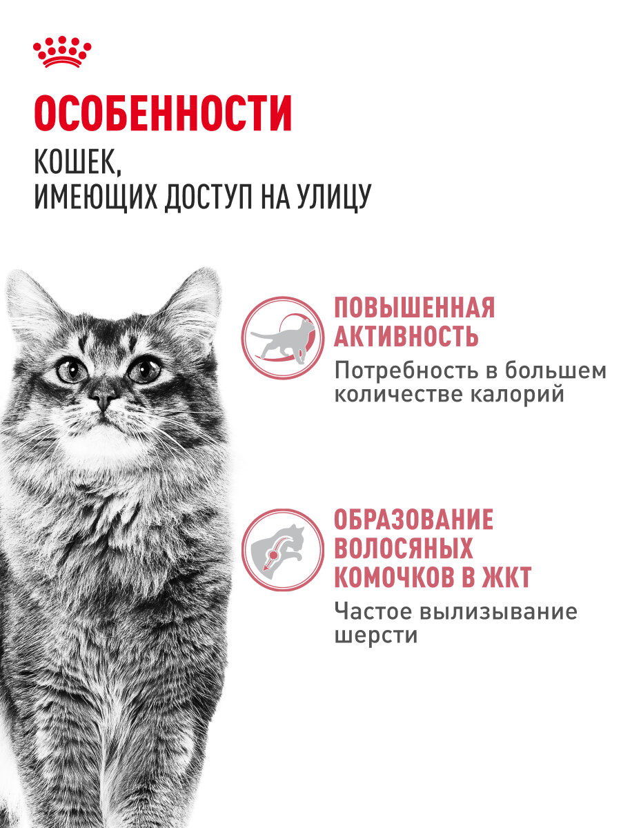 Сухой корм для умеренно активных кошек Royal Canin Fit 32, 2 кг — фото 1