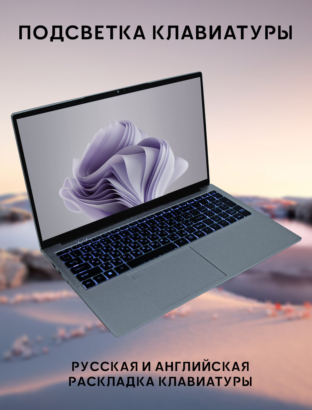 Ноутбук 17.3", Intel Celeron N5095, RAM 16 ГБ, SSD 256 ГБ, Windows Pro, серебристый, Русская раскладка