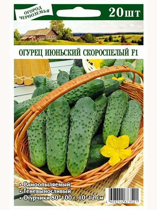 Огурец Июньский Скороспелый F1 20 шт (огород черноземья)