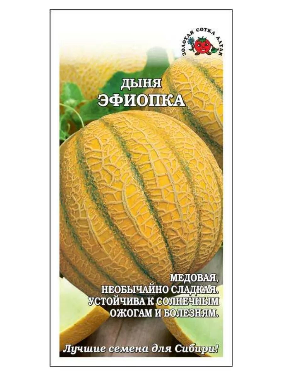 Дыня Эфиопка /05г/ среднеран. 23-28кг овальн-кругл.