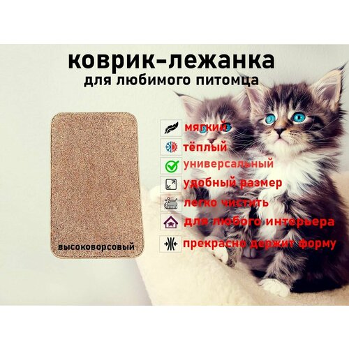 Мягкий, высоковорсовый коврик для животных Новостройка 80*50