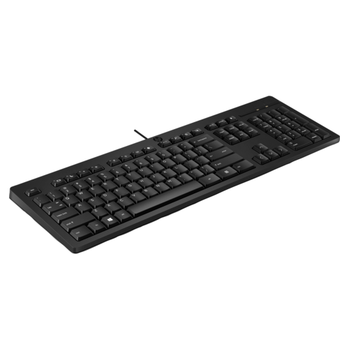 Клавиатура Keyboard HP 125 Wired (black) (266C9AA#ACB) 20w soundbar wired