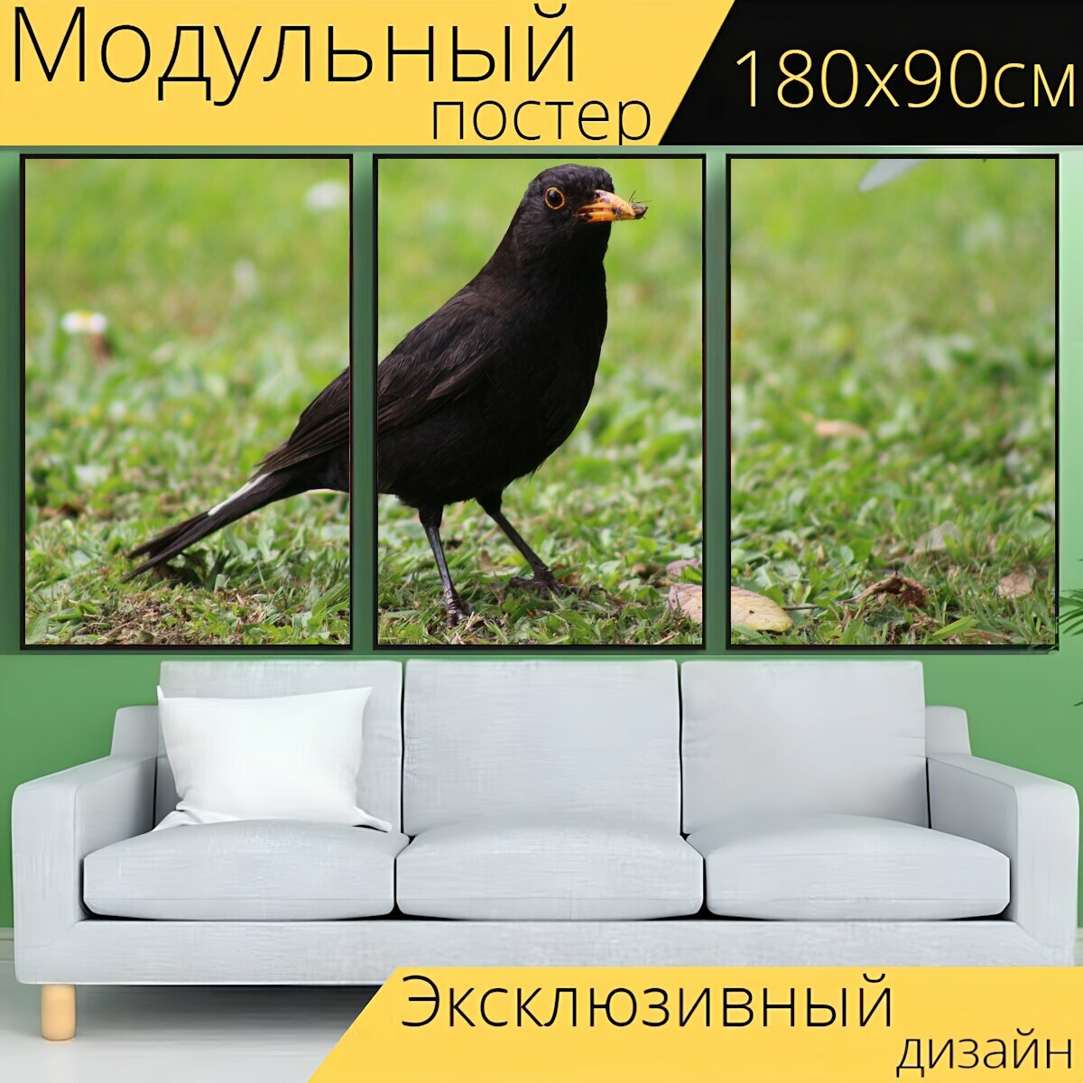 Модульный постер "Птица, черный дрозд, птичий" 180 x 90 см. для интерьера