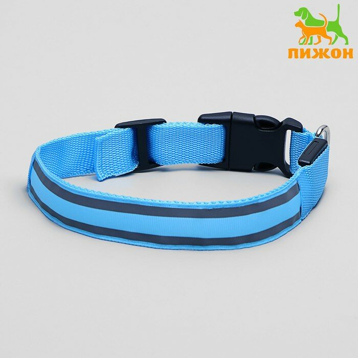 фото Пижон Ошейник с подсветкой Двойная полоса размер XL, ОШ 52-60 х 2,5 см, 3 режима свечения голубой