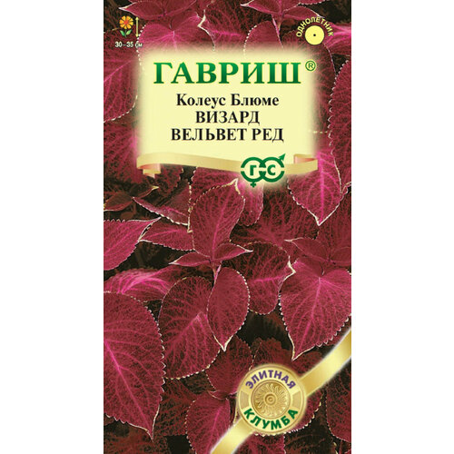 Семена Колеус Визард Вельвет Ред, 4шт, Гавриш, Элитная клумба, 10 пакетиков семена колеус визард вельвет ред 5 штук