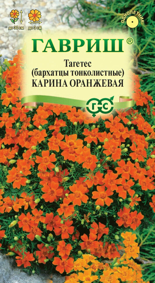 Семена Бархатцы тонколистные (тагетес) Карина оранжевая 005г Гавриш Цветочная коллекция 10 пакетиков