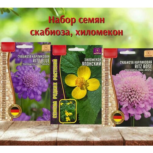 Семена многолетних цветов для дома и сада Скабиоза и Хиломекон 3 уп. семена многолетних растений для сада мискантус пампасная трава и спартина набор 3 уп