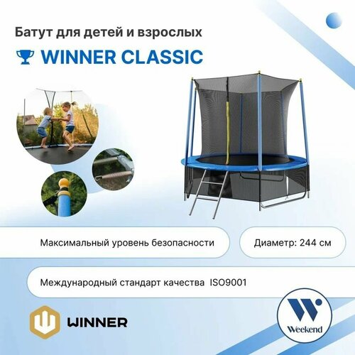 Каркасный батут с защитной сеткой Winner 8 футов 244 см лестница в комплекте батут для улицы 17110₽