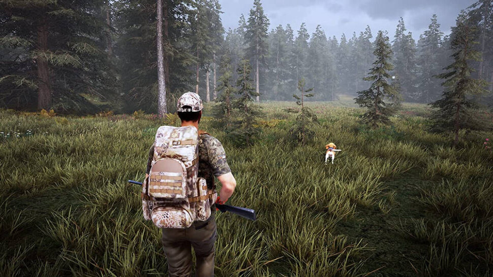 Игра Hunting Simulator 2 (PS5) Русские субтитры, диск, стандартное издание — фото 1