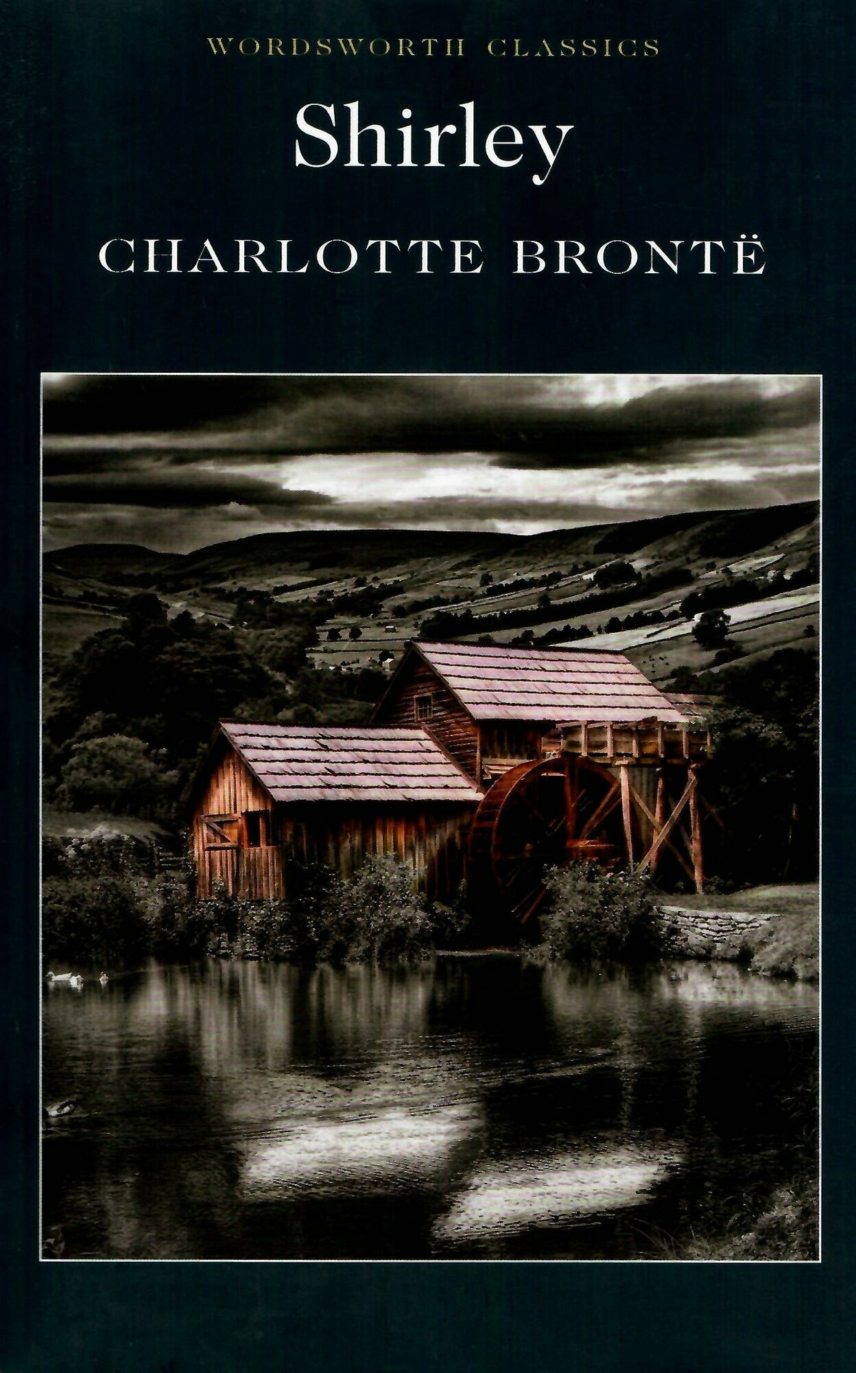 Bronte Charlotte "Shirley" мелованная - фото №4