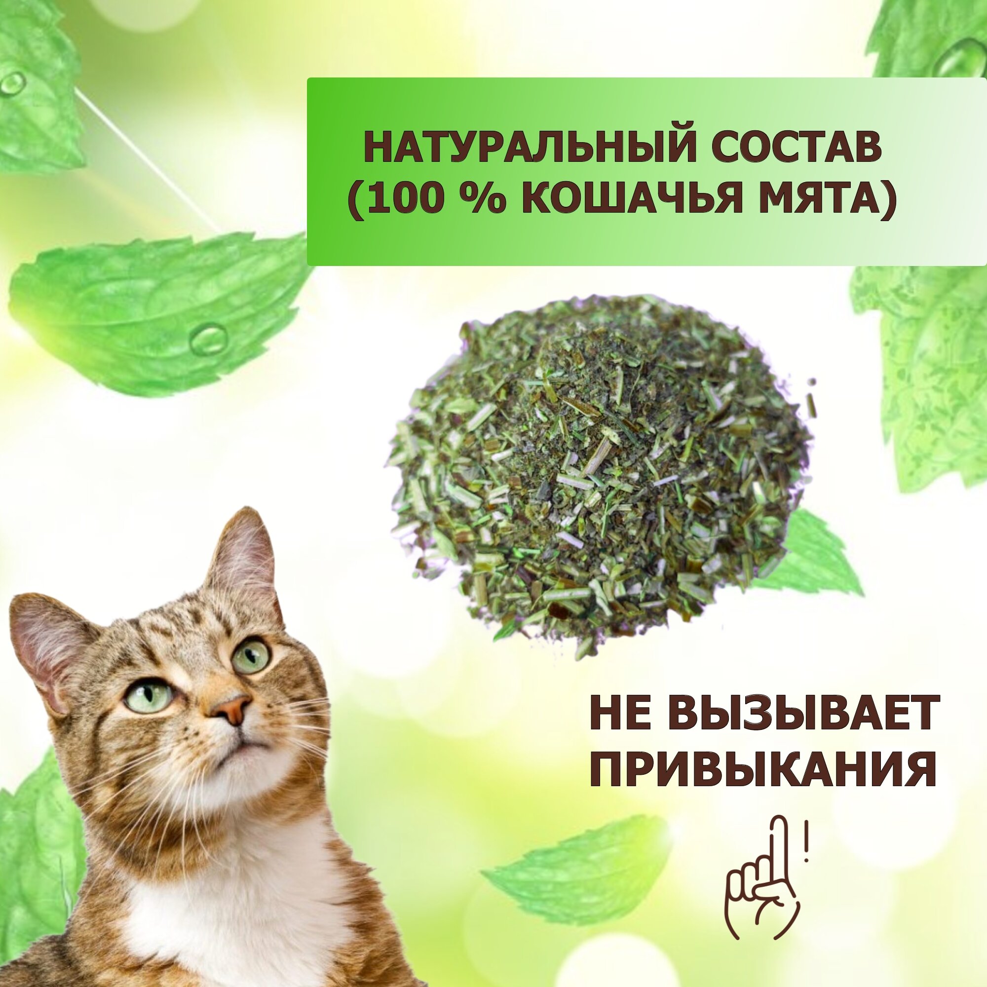 Кошачья мята лакомство для кошек 100 грамм. Котовник сушенный. Для приучения к месту, коррекции поведения, успокоительное.