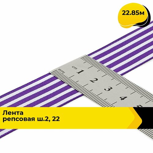 Лента упаковочная репсовая для подарков, тесьма для рукоделия 2.5 см, 22.85 м