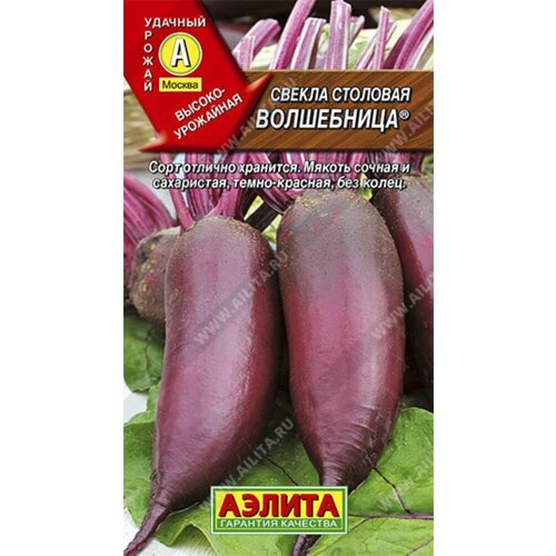 Свекла Волшебница 3г цилиндрическая Ср (Аэлита)