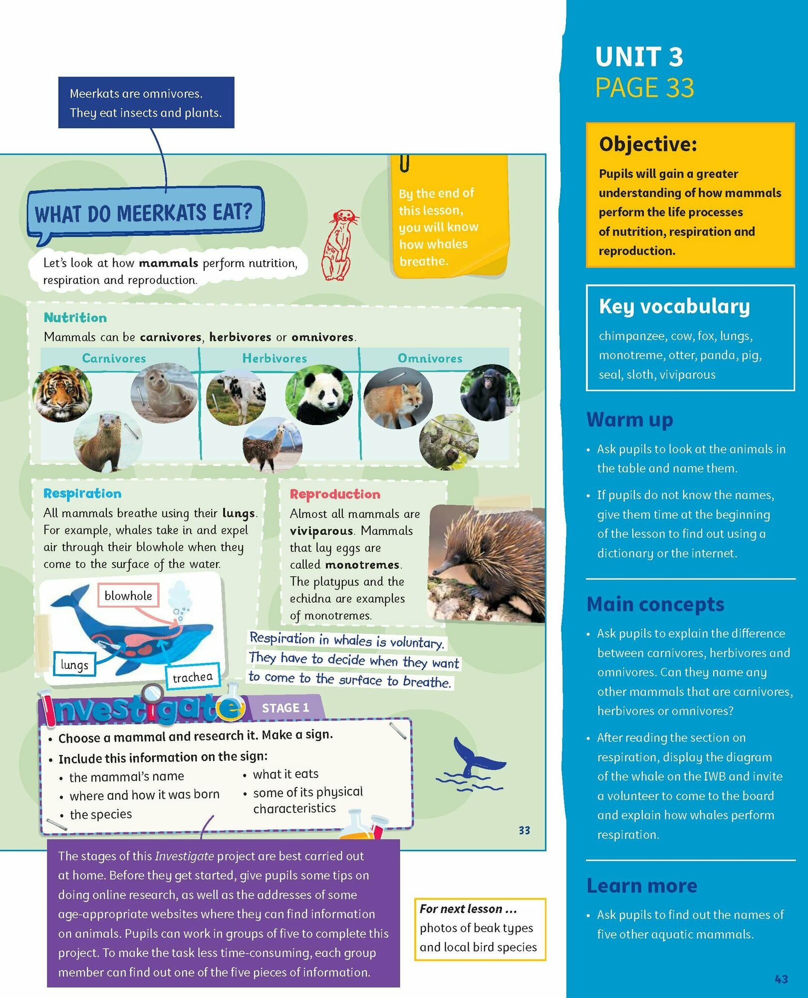 Science Skills. Level 4. Teacher's Book with Downloadable Audio - фото №7