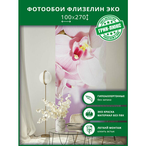 Фотообои на стену Розовые орхидеи 100х270, обои флизелиновые гладкие в комнату, спальню, кухню, коридор, цветы, орхидеи, 3d